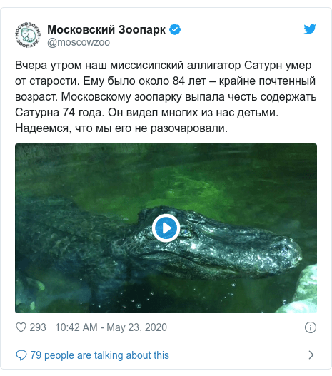 A survivor of World War II, the alligator who was rumored wrongly that belong to Adolf Hitler, has died in the Moscow Zoo 1 world europe 52784240