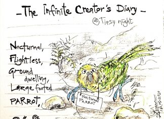 The Infinite Creator's Diary