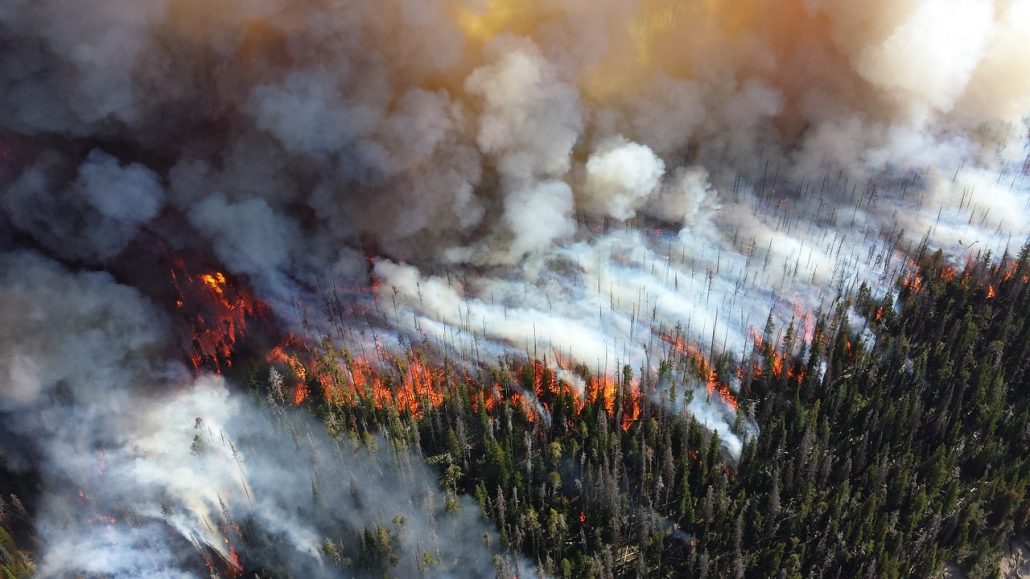 The Effects Of The Wildfires On The Global Climate Health 1 forest 1161868 1280
