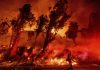 The Apple Fire: The Massive Wildfire in California Home 8 BWRGAGGQUFAD5H6BQ2VRVKF6ZE