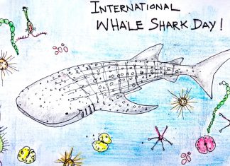 International Whale Shark Day Cartoon