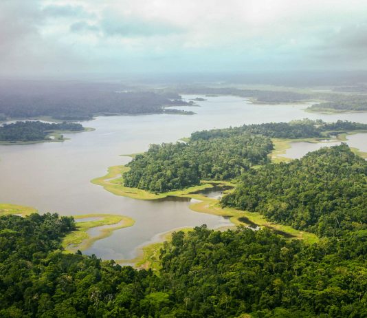 New Guinea Named World’s Most Plant-Rich Island Papua-New-Guinea